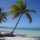 Voyage en R&eacute;publique Dominicaine &agrave; Punta Cana Playa Bavaro, forum voyage, bons plans Punta Cana Playa Bavaro, Punta Cana Playa Bavaro Caraibes