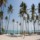 Voyage en R&eacute;publique Dominicaine &agrave; Punta Cana Playa Bavaro, forum voyage, bons plans Punta Cana Playa Bavaro, Punta Cana Playa Bavaro Caraibes